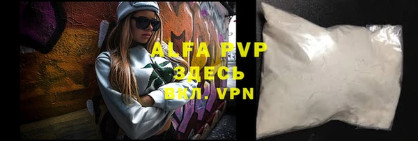 a pvp Бородино